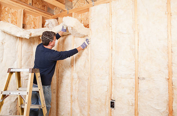 Best Soundproof Insulation  in Tton, IL